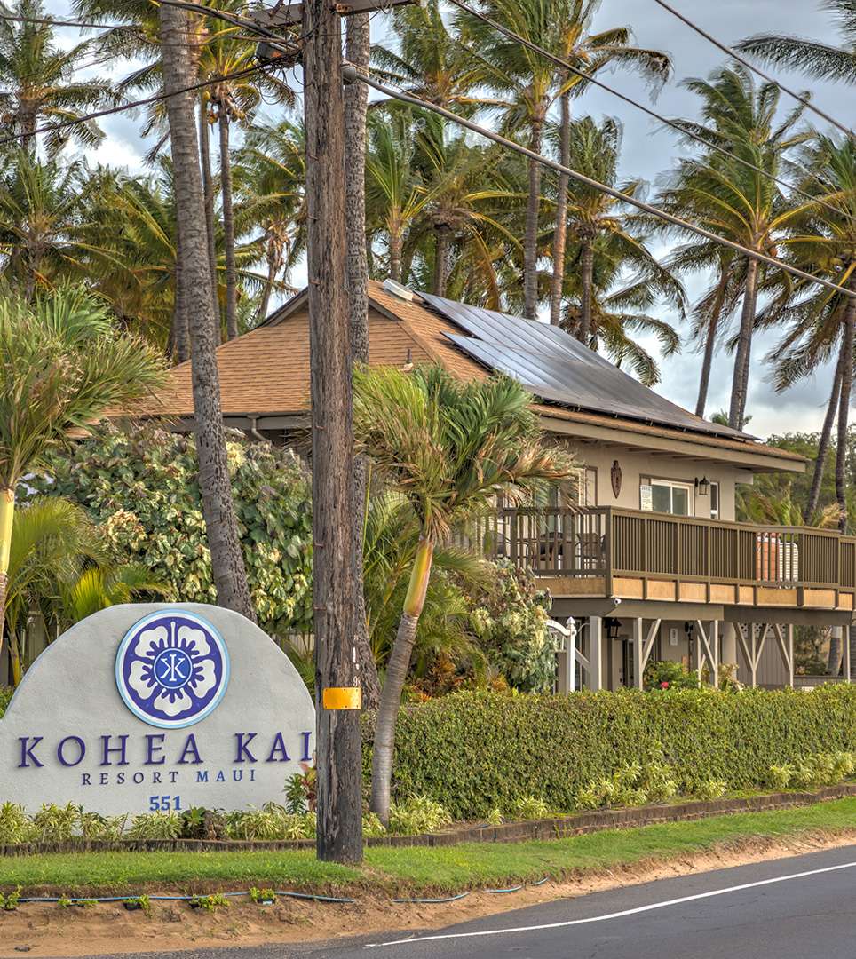  TAKE A CLOSER LOOK AT OUR MAUI ISLAND PARADISE